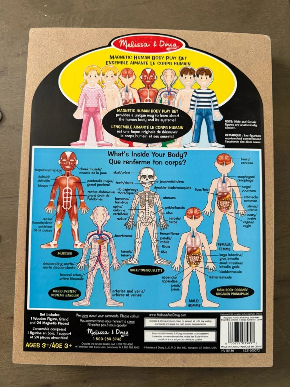 Melissa & Doug Magnetic Human Body Anatomy Play Set with 24 pcs and Storage Tray